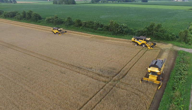 コントラクター小麦収穫業務